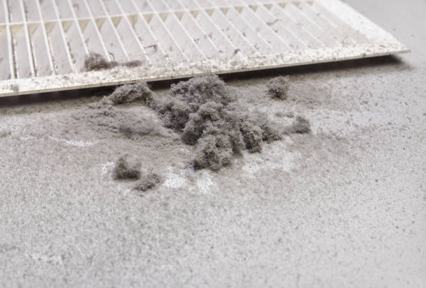 Best Professional Duct Cleaning Services  in Belington, WV